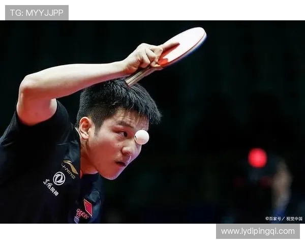 樊振东力克周雨晋级全运会男单16强 展现强大实力再度证明自己 樊振东力克周雨晋级全运会男单16强 展现强大实力再度证明自己
